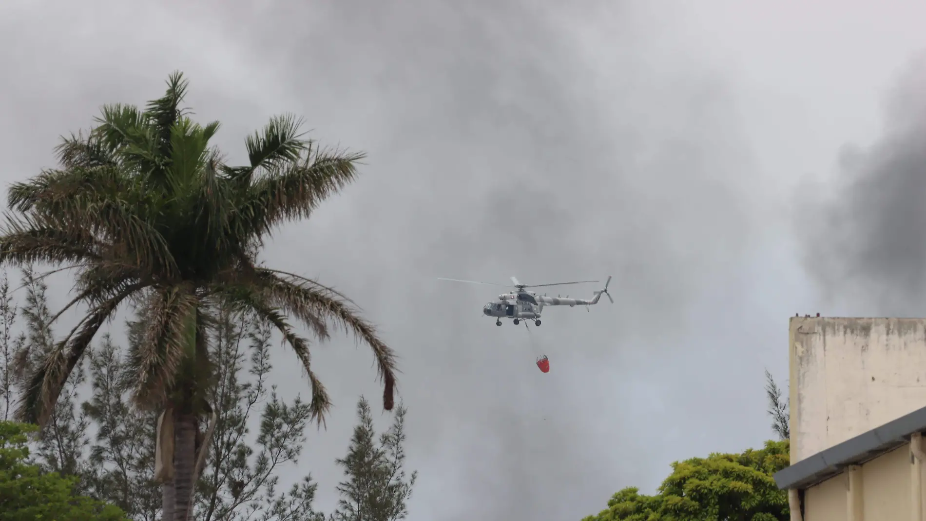 Capacitan a marinos para el combate de incendios forestales-INT6